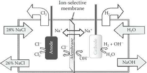 Electrolysis Of Brine