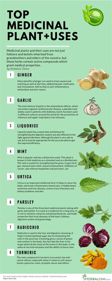 TOP MEDICAL PLANT USES