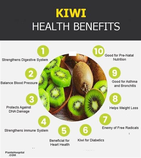 Kiwi Vitamin C - Twin Fruit