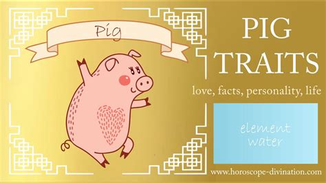 Chinese Zodiac Pig Personality ━ Pig Traits, Love & Feng Shui 豬 - YouTube