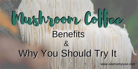 Mushroom Coffee Benefits and Why You Should Try It - Warms My Soul