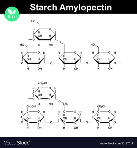 Amylopectin polymer molecular structure Royalty Free Vector