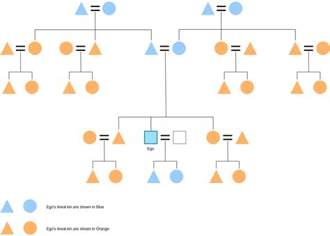 Lineal and Collaterial Kinship | Kinship Diagram Template