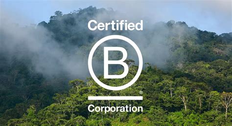 B Corp or Bust: How to Get Certified and Show the World Your Business is a Force for Good ...