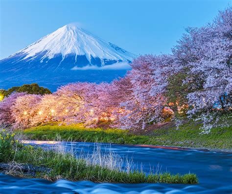 Cherry Blossom Tours | Japan | Wendy Wu Tours