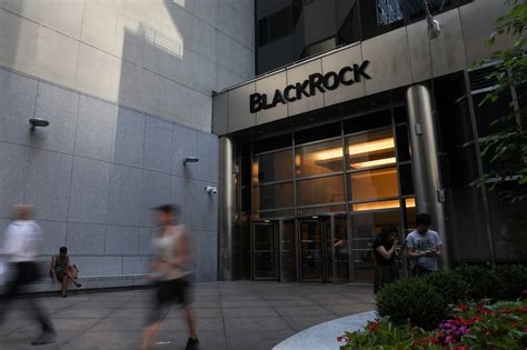 BlackRock narrows UK gender pay and bonus gaps