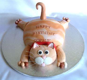 Cat Birthday Cake Photos and Pictures