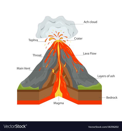 Stratovolcanoes Diagram