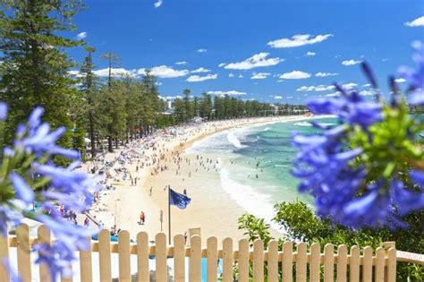 The beach is wide, scenic, with few tourists, creating an excellent atmosphere overall. - Manly ...