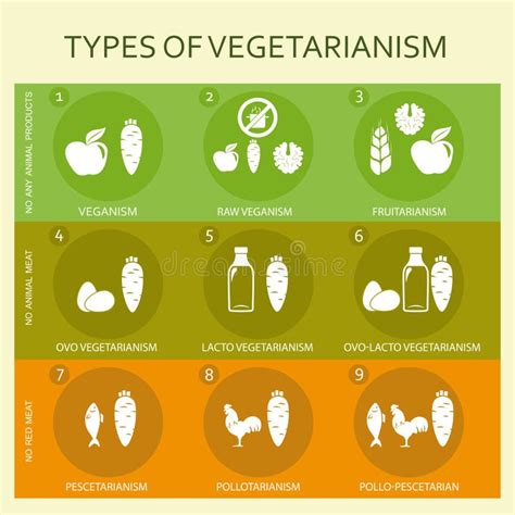 Vegetarian Types Infographic Stock Vector - Image: 50260585