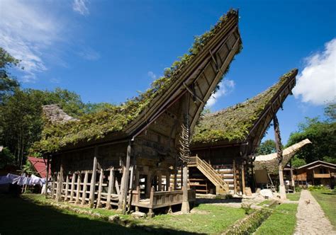 47+ Traditional Toraja House