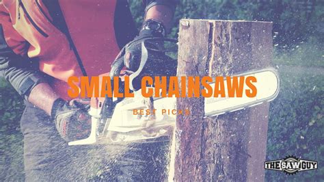 The 5 Best Small Chainsaws 2024 - Comparisons & Reviews