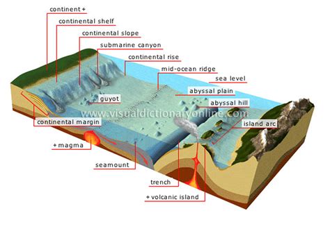 Oceans Floor - Earth & Space!