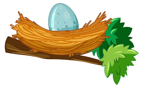 Nest Egg Free Vector Art - (93 Free Downloads)