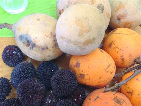 New Year and the marginalisation of native fruits in the Philippines