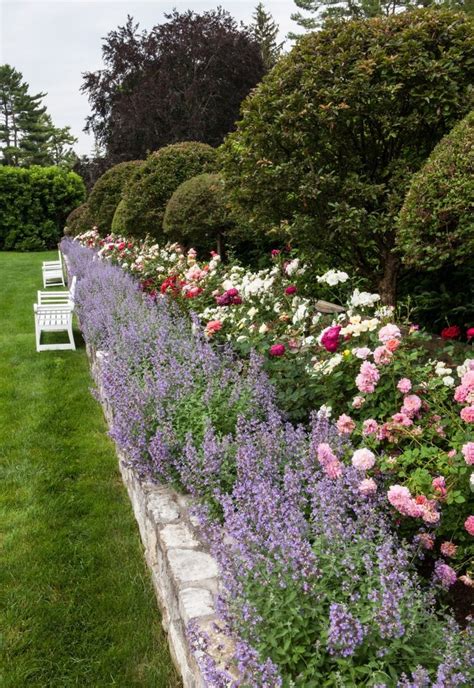 Carolyne Roehm - catmit boarder lots of roses - and peonys Beautiful ...