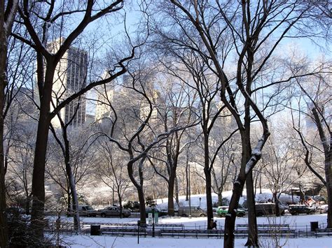 Central Park in the snow Free Photo Download | FreeImages