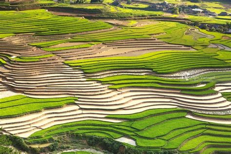 Mu Cang Chai In The Pouring Water Season | ORIGIN VIETNAM PHOTOS