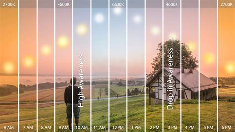 What is Circadian Lighting? - The Lighting Practice