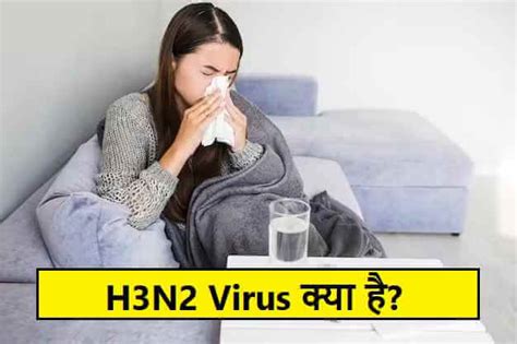 H3N2 virus symptoms: What is this virus and how can it be prevented ...