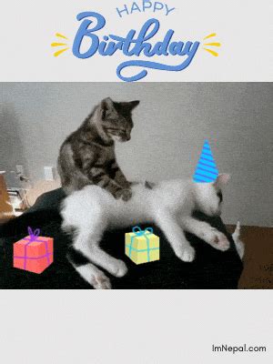 100 Funny Birthday Wishes And Messages Collection With GIF Images 7