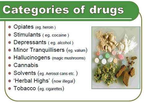 Drugs and Alcohol Abuse - NCERT | PMF IAS