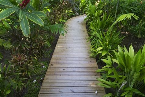 Top 50 Best Wooden Walkway Ideas - Wood Path Designs