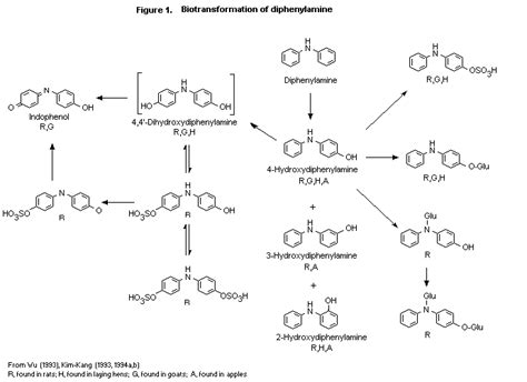 Diphenylamine - Alchetron, The Free Social Encyclopedia