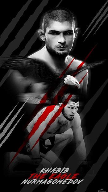 Khabib 'The Eagle' Nurmagomedov, khabib mobile HD phone wallpaper | Pxfuel