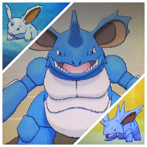 [Gen7] Shiny Nidoking : r/ShinyPokemon