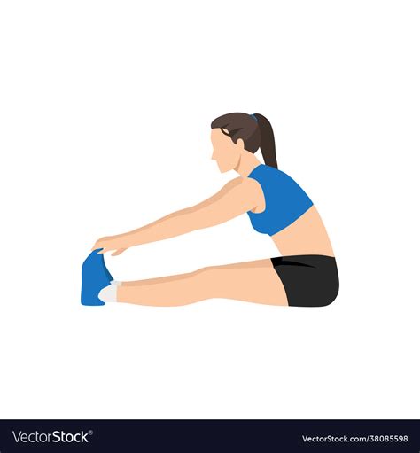 Woman doing seated forward bend stretch exercise Vector Image