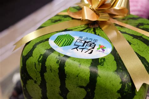 Japan's $200 Square Watermelons That Only Look Good Enough to Eat