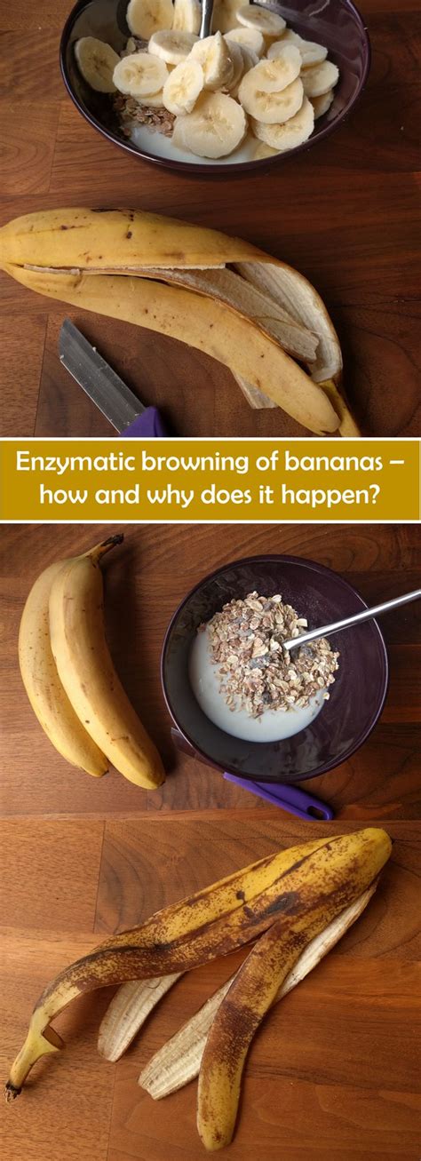 What Is Enzymatic Browning and How Can You Prevent It? - Food Crumbles | Food, Banana recipes ...