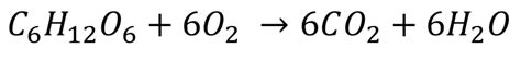 Aerobic Respiration Equation