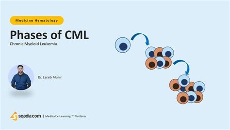 Chronic Myeloid Leukemia - Phases of CML