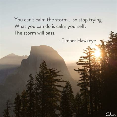 "You can't calm the storm..." | Calming the storm, Work quotes, Storm