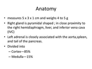 Pheochromocytoma | PPT