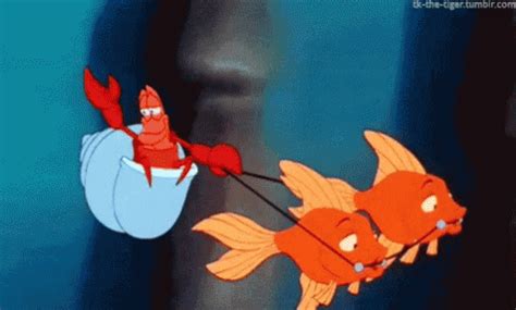 Sebastian The Little Mermaid GIF - Sebastian TheLittleMermaid Disney ...