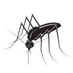 Ant with long legs silhouette vector graphics | Free SVG