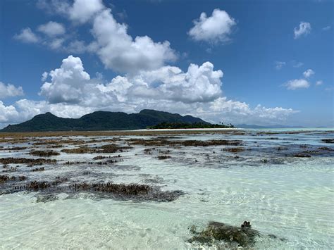 Semporna Island Hopping- Sabah, Borneo - Bold Destinations