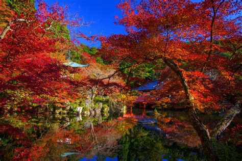 Download Reflection Man Made Japanese Garden 4k Ultra HD Wallpaper