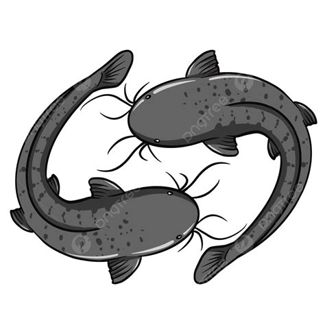 Catfish Catfish, Dumbo Catfish, Pescado, Catfish Pecel PNG and Vector with Transparent ...