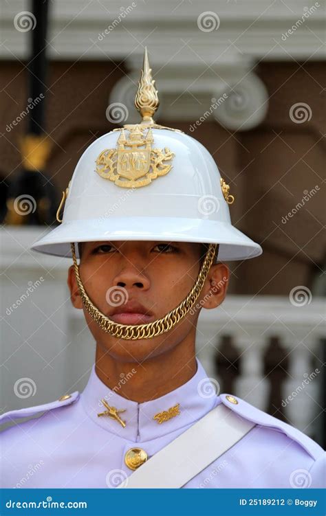 King s Guard editorial photography. Image of military - 25189212