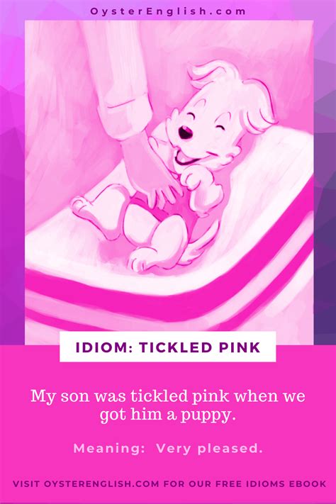 Idiom: Tickled Pink (Meaning and Examples)