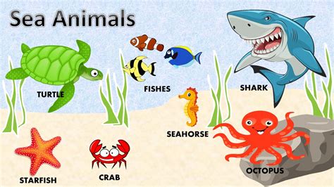 Facts About Ocean Animals For Kids - Image to u