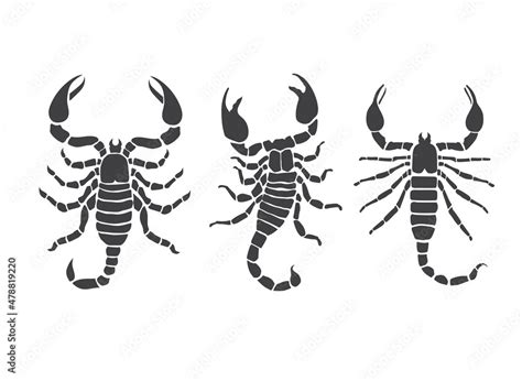 scorpion vector silhouette Stock Vector | Adobe Stock