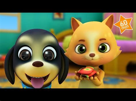 BINGO the Baby Dog + More Kids Songs & Nursery Rhymes for Children | Music Videos Cartoons ...