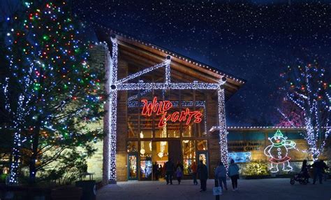 Akron Zoo’s Wild Lights holiday event to feature 1 million lights, golf ...