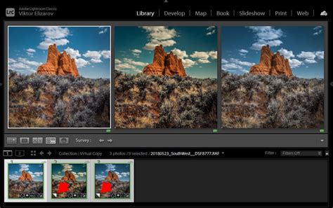 Lightroom Before and After: 7 Ways to Visualize Your Edits • PhotoTraces