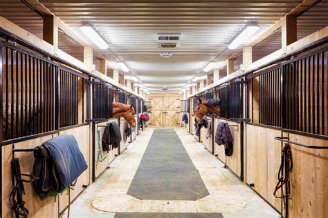 The Best Stall Bedding Choices for Horse